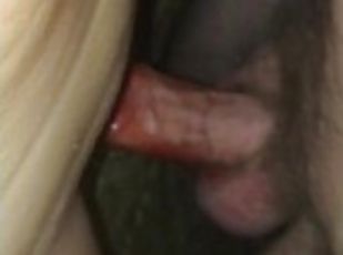 Vagina (Pussy), Isteri, Amatir, Jenis pornografi milf, Buatan rumah, Sudut pandang, Bersetubuh, Basah, Perawan