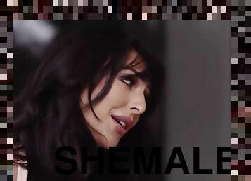 shemale, anal, blowjob, hardcore, kyssing, nederlandsk