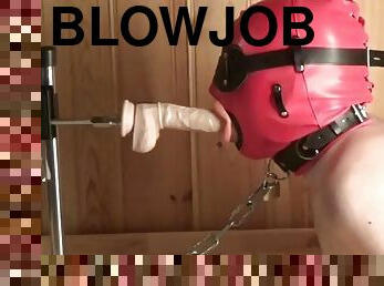 Teaching slave to give blowjob