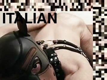 anal, jouet, hardcore, gay, bdsm, horny, gode, italien, bâillonnement, bondage