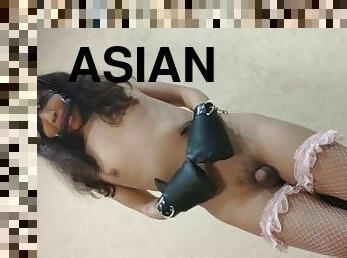 asia, pantat, mainan, waria, stocking-stockings, celana-dalam-wanita, dansa