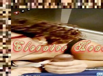 blowjob-seks-dengan-mengisap-penis, berkulit-hitam, sudut-pandang, penis, pengisapan