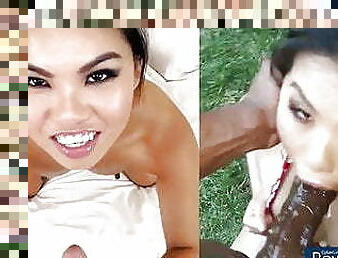 A scientific comparison of Cindy Starfall white cock vs BBC 