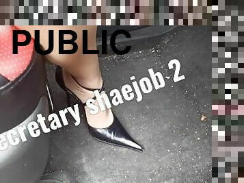 Secretary shaejob 2