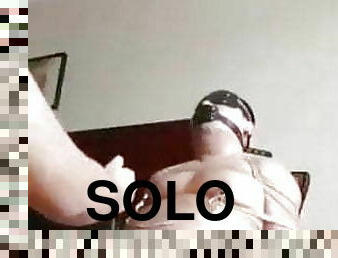 solo bear 1