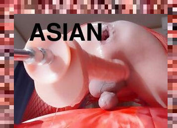 asiatique, papa, masturbation, transsexuelle, amateur, ladyboy, trou-du-cul