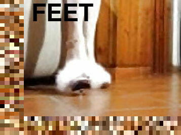 homo, stopala-feet, najlon