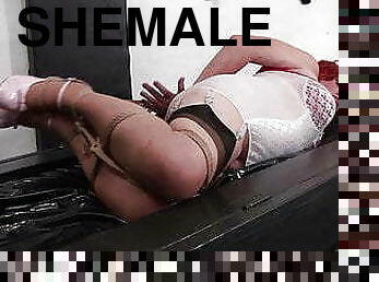 transsexuelle, fellation, travesti, bdsm, bondage, maîtresse, domination