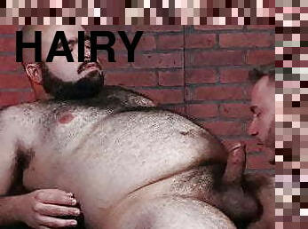 fet, hårig, masturbation, anal, avsugning, gay, avrunkning, bbw, björn