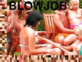 fest, blowjob, lesbisk, hardcore, gruppesex, erting