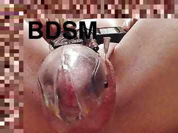 Estim Cock Cage with 2 Needles in Balls