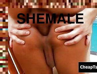 shemale, anal, brudar