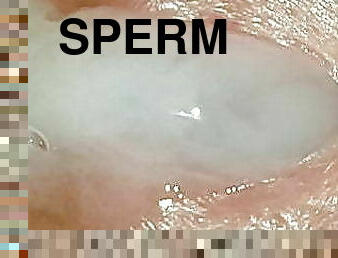 Sperm flows out of the wide open acorn hole