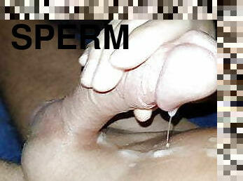 gay, sperma-sperm