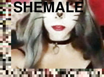 Shemale Slut Video horny homemade