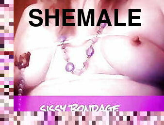 shemale, amatör, leksak, bdsm, ladyboy, pov, bondage, liten, dominans, små-bröst