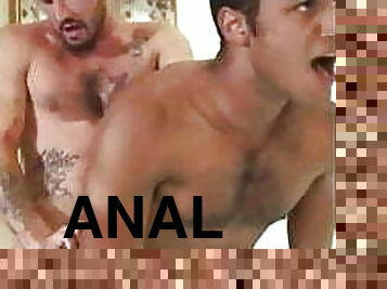 analano, homo