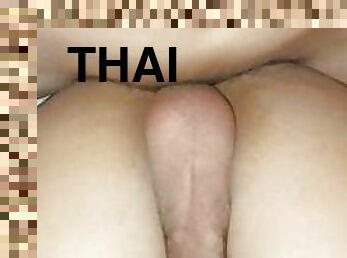 gay, transessuali, tailandesi