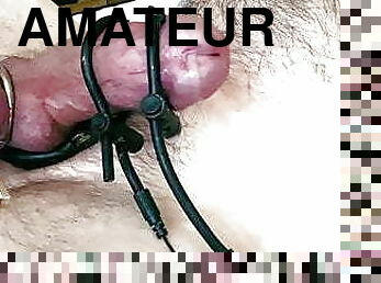 Intense CBT Hands Free Electro Cum &amp; Centipede Sounding, PMV