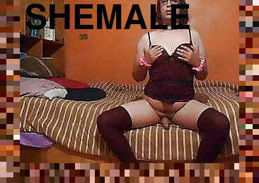 Shemale trap in wine lingerie