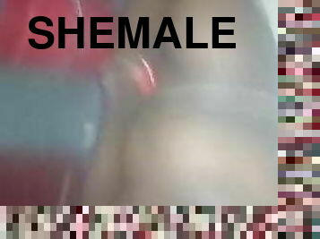 shemale, anal, blowjob, stor-pikk, indian-jenter, ladyboy