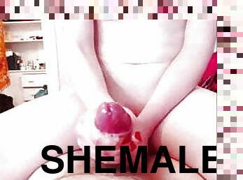 Skilled shemale making her lover cum hard