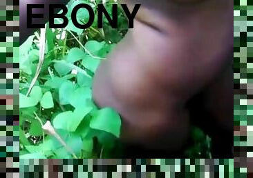 Perfect tits ebony pussy fuck in a park