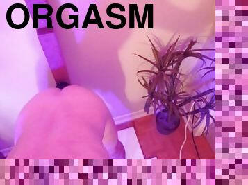 gigantisk, masturbation, orgasm, amatör, anal, leksak, gay, bdsm, slav, webbkamera