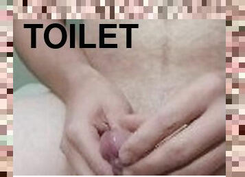 Just normal wank on my friends toilet