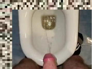 masturbation, pisser, amateur, gay, branlette, secousses, point-de-vue, collège, européenne, euro