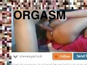 orgasmo, coño-pussy, amateur, anal, corrida-interna, sadomasoquismo, corrida, webcam, bondage