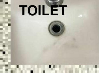 Gross toilets make my bladder shy pee in sink public restroom