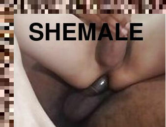 gros-nichons, mamelons, transsexuelle, anal, black, blonde, chevauchement, blanc, brunette, bite