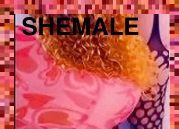 shemale, amatör, anal, brudar, avsugning, cumshot, gigantisk-kuk, hardcore, transa, ladyboy