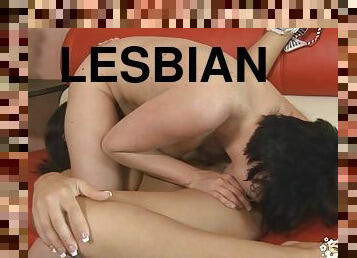 לסבית-lesbian, הארדקור, כוכבת-פורנו