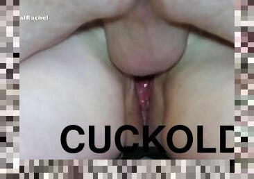 Fucked from Behind as Cucky Watches