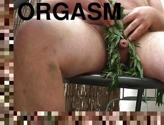 orgasm - nettle