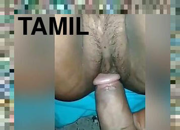 Tamil Couple Fucking