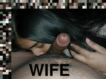 Pakistani Wife Loves Bj & Rimming