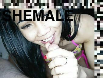 asiatique, transsexuelle, anal, fellation, point-de-vue, thaï, chevauchement, bikini