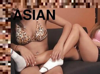 asiatisk, erting