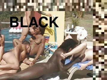 gros-nichons, tricherie, fête, chatte-pussy, interracial, black, baisers, piscine, sauvage