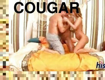 Sexy harem cougars harem money harem