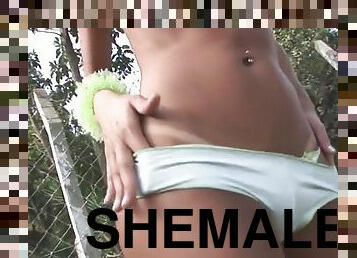 Brazilian shemale fucks boy outside