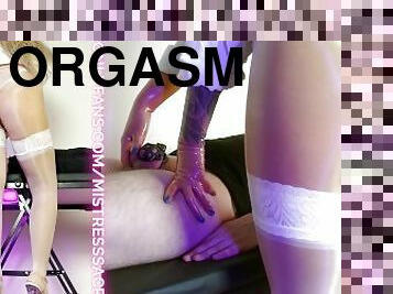 orgasmo, meia-calça, engolindo, escravo, meias, ejaculação, buraco-velho, amante, branco, domínio-feminino