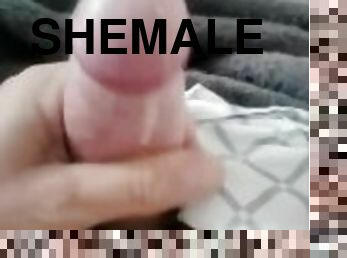 shemale, amatør, cumshot, homofil, handjob, compilation, cum, fetisj, femdom