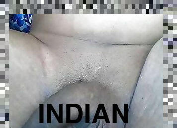 indian cock show