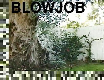 blowjob-seks-dengan-mengisap-penis, penis-besar, jerman, antik, mundur, eropa, mata-uang-euro