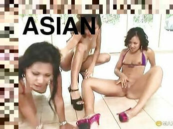 Three Asians in bikinis have lesbian sex