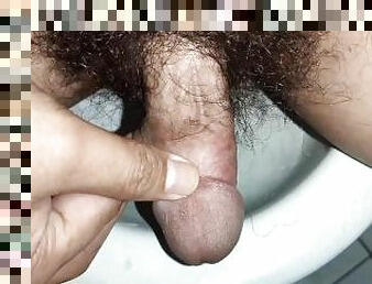 asiático, papá, masturbación, amateur, maduro, gay, paja, corrida-interna, regordeta-chubby, a-solas